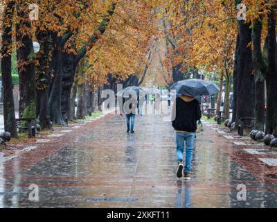 Fray Francisco de Vitoria Walk, automne sous la pluie, Vitoria, pays Basque, Espagne. Banque D'Images