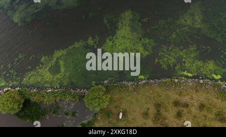 Vues générales sur les concentrations d'algues bleu vert sur les rives du Lough Neagh dans le Co Antrim. Date de la photo : mardi 23 juillet 2024. Banque D'Images