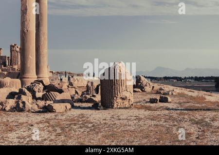 Ruines du palais Apadana (salle d'audience) à Persépolis, l'ancienne capitale persane d'environ 500 av. J.-C., un site du patrimoine mondial de l'UNESCO près de Shiraz, Iran Banque D'Images