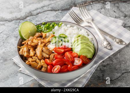 Carnitas de poulet croustillant avec bol de riz, tomates, poivre jalapeno, oignon et avocat gros plan sur la table. Horizontal Banque D'Images