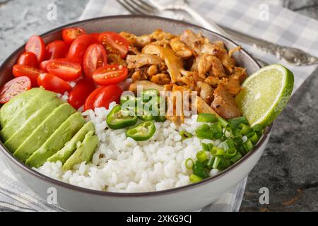 Carnitas de viande de poulet râpée avec riz, tomates, poivre jalapeno et avocat gros plan dans le bol sur la table. Horizontal Banque D'Images