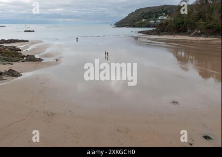 Chien marchant sur une plage vide de North Sands, avec le sable humide fournissant un miroir comme surface sur une journée nuageuse avec des mers calmes en hiver - Jan. Banque D'Images