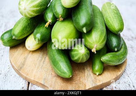 Une pile de concombres fraîchement récoltés exposés sur une planche de bois ronde, mettant en valeur leur couleur verte vibrante et leur qualité maison. Banque D'Images