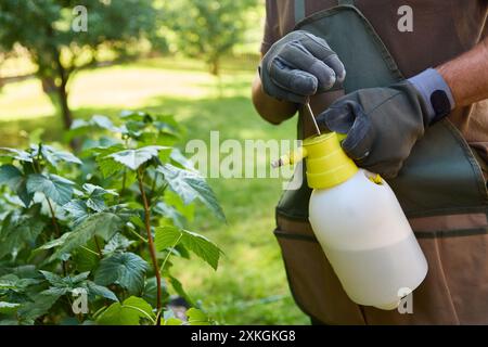 Gros plan des mains d'un jardinier préparant un vaporisateur pour la lutte antiparasitaire dans un jardin d'herbes luxuriantes. Plantes vertes au premier plan et jardin ensoleillé dans le Banque D'Images