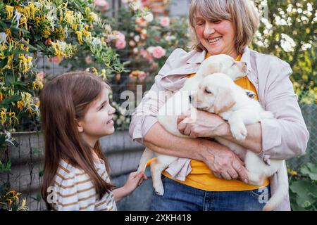 Une femme mature riante montre à sa petite-fille de mignons chiots. Une grand-mère souriante et un enfant prennent soin des animaux de compagnie. Une petite fille aime Golden retriever Banque D'Images