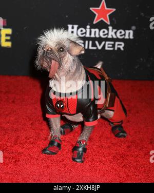 22 juillet 2024, New York, New York, États-Unis : PEGGY LE CHIEN vu à la première mondiale de Deadpool et Wolverine tenue au David H. Koch Theater au Lincoln Center. (Crédit image : © Nancy Kaszerman/ZUMA Press Wire) USAGE ÉDITORIAL SEULEMENT! Non destiné à UN USAGE commercial ! Banque D'Images