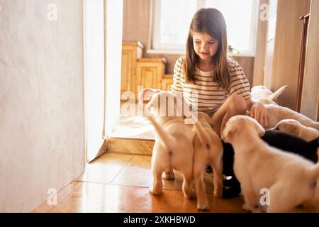 Une petite fille est assise sur les marches dans une pièce et caresser les chiots labrador. Un enfant mignon s'amuse avec des chiens à la maison. Un enfant souriant prend CA Banque D'Images