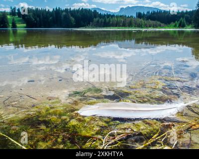 Vue grand angle sur le Koegelweiher avec une plume d'oiseau couchée sur le bord de l'eau au premier plan. Banque D'Images