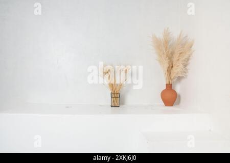 Un podium vide et des mises en page de produits avec de l'espace pour copier, des fleurs séchées dans un vase dans un style minimaliste et avec des ombres. Photo de haute qualité Banque D'Images