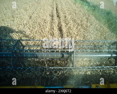 Vue rapprochée d'une moissonneuse-batteuse coupant dans un champ de blé à Oteiza, Navarre, Espagne. L'image capture les machines en action Banque D'Images