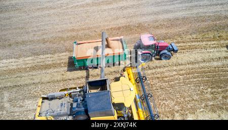 Vue aérienne d'une moissonneuse-batteuse transportant du blé récolté dans la remorque d'un tracteur dans les champs d'Oteiza, Navarre, Espagne. Banque D'Images