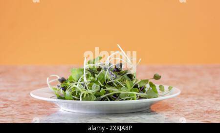 Une assiette blanche avec un petit monticule de micro verts verts repose sur un comptoir de couleur claire sur un fond orange vif Banque D'Images