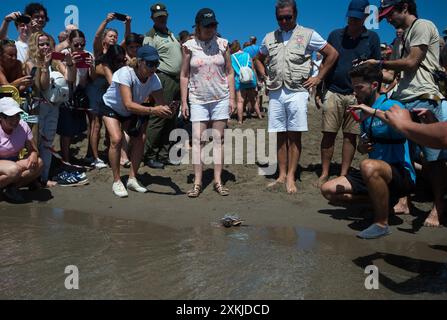 23 juillet 2024, Malaga, Espagne : un groupe de personnes et de bénévoles sont vus en train de regarder une tortue caouanne (Caretta caretta) lors de sa libération sur la plage de Puerto Banus. En 2023, un total de 59 œufs de tortues (Caretta caretta) ont éclos sur une plage de Marbella. Tout au long de l’année, les membres des centres de gestion des zones marines andalouses ont pris soin des œufs de tortues, dans le but de faciliter leur conservation et leur croissance, et de les préparer à leur libération dans la mer. Certaines des tortues étaient équipées d’un système satellite, qui permet de surveiller leur voyage en mer. (Crédit image : © Jesu Banque D'Images