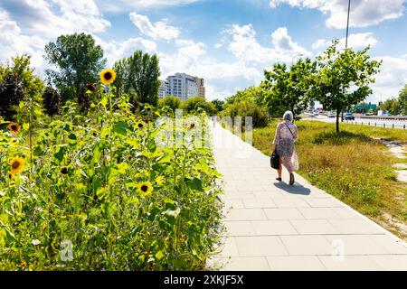 Prairie de tournesol et de fleurs sauvages plantée par un sentier piétonnier et une piste cyclable dans une ville (Park Pięciu Sióstr, Varsovie, Pologne) Banque D'Images