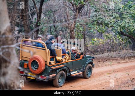 Parc national de Ranthambore, Rajasthan, Inde, 15 février 2024, touriste en jeep sur un safari à l'aube Banque D'Images