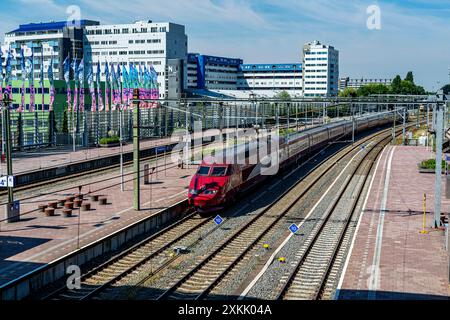 Eurostar vers Paris, France Eurostar train à grande vitesse vers Paris, France entrée de la gare centrale de Rotterdam pour prendre en charge de nouveaux passagers et voyageurs. Rotterdam, pays-Bas. Rotterdam Centraal Station Zuid-Holland Nederland Copyright : xGuidoxKoppesxPhotox Banque D'Images