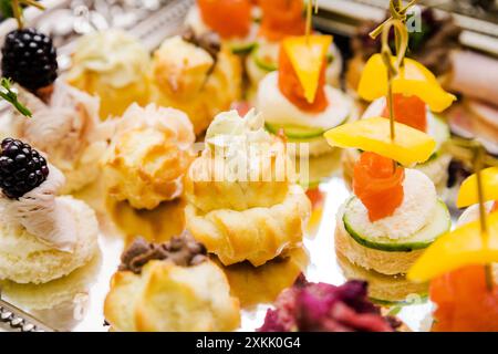 Hors-d'œuvre gastronomique assortis avec diverses garnitures, y compris du saumon, des mûres et du fromage à la crème sur un plateau miroirs. Photo horizontale. Vue de dessus. Banque D'Images