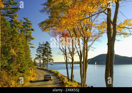 Somes Sound le long de Sargent Drive, près de Northeast Harbor, Mount Desert Island, Maine, États-Unis Banque D'Images