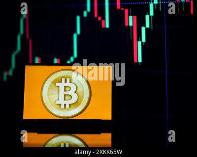 Allemagne. 23 juillet 2024. Dans cette illustration photo, le logo Bitcoin vu affiché sur une tablette. (Photo de Igor Golovniov/SOPA images/SIPA USA) *** strictement à des fins éditoriales *** crédit : SIPA USA/Alamy Live News Banque D'Images