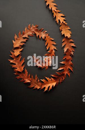 Feuilles de chêne rouge fanées sur un fond sombre. Composition de spirale à feuilles déployables. Arrière-plans d'automne. Minimalisme, abstraction artistique Banque D'Images