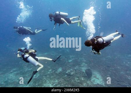 10.11.2023, Indonésie, Lombok, Gili Trawangan - hommes plongeant dans la mer. 00S231110D394CAROEX.JPG [AUTORISATION DU MODÈLE : NON, AUTORISATION DU PROPRIÉTAIRE : NON (c) image caro Banque D'Images