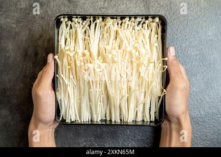 Une personne tient un plateau de champignons blancs. Les champignons sont disposés selon un motif et le plateau est noir Banque D'Images