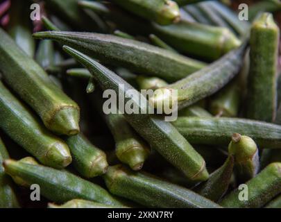 Okra végétal frais ou fond végétal de doigt de dames. Banque D'Images