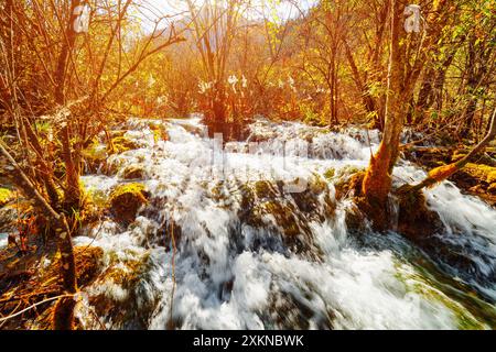 Incroyable cascade naturelle en cascade du lac Arrow Bamboo Banque D'Images