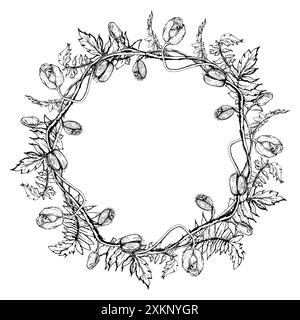 Feuilles de fleurs d'illustration botanique graphique vectorielle dessinées à la main. Papave de coquelicot rouge, tiges bourgeons graines. Cadre de couronne isolé fond blanc Illustration de Vecteur