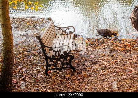 Banc en bois trouvés au milieu d'un parc Banque D'Images