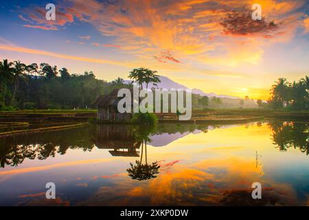 ciel du matin dans les rizières du nord du bengkulu indonésie, beauté de la nature couleur et temps le matin, simple prise de vue avec un endroit étonnant Banque D'Images