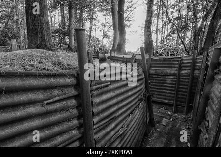 Tranchées préservées au Sanctuary Wood Museum (près de la colline 62), juste à l'extérieur d'Ieper (Ypres), Belgique. Le Sanctuary Wood Museum Hill 62, à l'est d'Ypres Banque D'Images