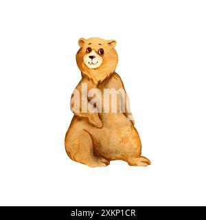 aquarelle mère adulte ours brun, ours animal mignon de la forêt, croquis de dessin animé, ours drôle, illustration sur fond blanc, pour les affiches d'enfants, bo Banque D'Images