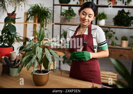 Une femme asiatique portant un tablier et des gants examine soigneusement une plante dans son magasin, prête à lui donner les meilleurs soins. Banque D'Images