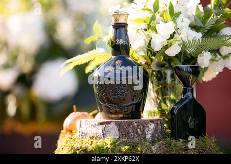 Photographie de cocktails et de boissons de whisky Banque D'Images