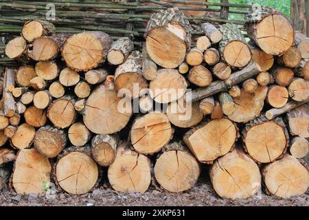 Stock de bois de chauffage. Entrepôt de bois de chauffage à la campagne. Bûches de pin fraîchement coupées à l'usine de scierie. Fond en bois naturel. Banque D'Images