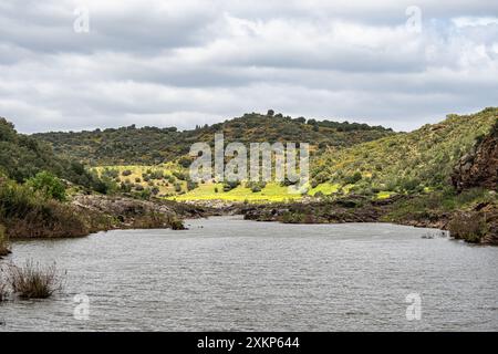 Beau paysage avec des prairies de fleurs sauvages, des rivières et des cascades dans le Parque Natural do Vale do Guadiana, près de Mertola, Portugal, Alentejo Banque D'Images