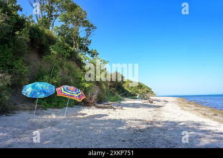 Deux parasols colorés coincés dans le sable en face de la côte escarpée sur la plage naturelle de la mer Baltique lors d'une journée d'été ensoleillée, destination touristique Banque D'Images