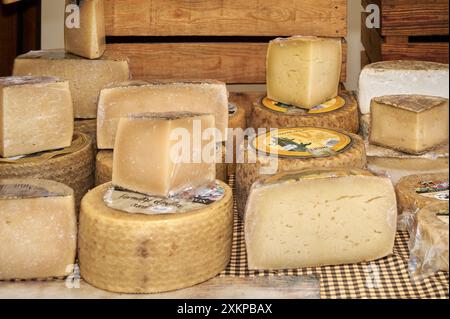 Viladecasn, ESPAGNE - 24 JUILLET 2024 : image présentant une variété de fromages artisanaux sur un marché. Les fromages ont différentes textures et couleurs, faisant Banque D'Images