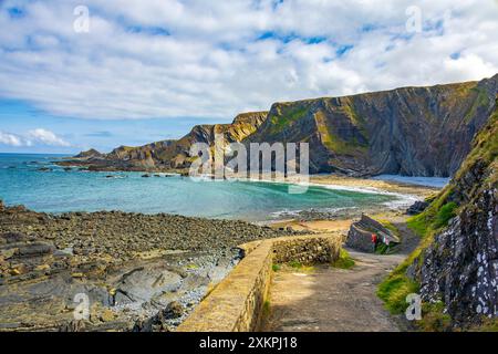 Les strates rocheuses pliées spectaculaires de mudstones et de grès à Hartland Quay sur le sentier de la côte sud-ouest, Devon, Angleterre, Royaume-Uni Banque D'Images