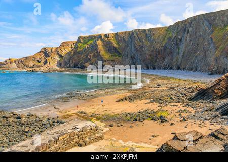 Les strates rocheuses pliées spectaculaires de mudstones et de grès à Hartland Quay sur le sentier de la côte sud-ouest, Devon, Angleterre, Royaume-Uni Banque D'Images