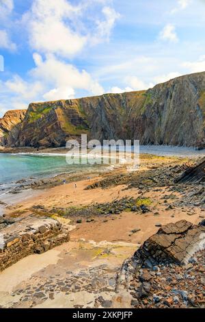 Les strates rocheuses pliées spectaculaires de mudstones et de grès à Hartland Quay sur le sentier de la côte sud-ouest, Devon, Angleterre, Royaume-Uni Banque D'Images