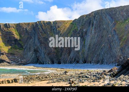 Les strates rocheuses pliées spectaculaires de mudstones et de grès à Hartland Quay sur le sentier de la côte sud-ouest, Devon, Angleterre, Royaume-Uni Banque D'Images