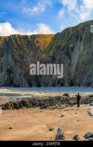 Les strates rocheuses pliées spectaculaires de mudstones et de grès à Hartland Quay sur le sentier de la côte sud-ouest, Devon, Angleterre, Royaume-Uni Banque D'Images