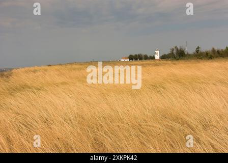 Restes de steppes d'herbe non cultivées (terres vierges), fructifiant stipa sur la côte estuaire de South Bug. Un ancien phare côtier sur une falaise de mer. Nord Banque D'Images