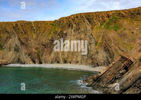 Les strates rocheuses pliées spectaculaires de mudstones et de grès à Hartland Quay sur le sentier de la côte sud-ouest, Devon, Angleterre, Royaume-Uni Banque D'Images