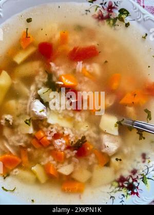 Gros plan de soupe de légumes et de poulet maison dans un bol floral. Cuisine hongroise, Roumanie. Banque D'Images