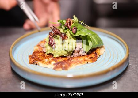 Oaxaca, Mexique. 23 juillet 2024. Un chef prépare un taco traditionnel à la sauterelle dans un restaurant de la ville d'Oaxaca, capitale de l'État d'Oaxaca, au Mexique, le 23 juillet 2024. Oaxaca cuisine est une cuisine régionale du Mexique, centrée sur la ville d'Oaxaca. La nourriture traditionnelle telle que la sauce taupe, la sauterelle et la boisson Mezcal sont populaires parmi la population locale et les touristes. Crédit : Li Mengxin/Xinhua/Alamy Live News Banque D'Images