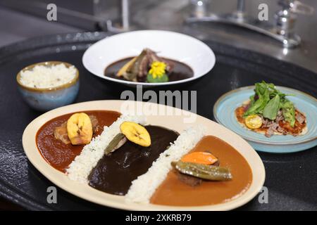 Oaxaca, Mexique. 23 juillet 2024. Cette photo montre une cuisine traditionnelle avec sauce taupe dans un restaurant de la ville d'Oaxaca, capitale de l'État d'Oaxaca, au Mexique, le 23 juillet 2024. Oaxaca cuisine est une cuisine régionale du Mexique, centrée sur la ville d'Oaxaca. La nourriture traditionnelle telle que la sauce taupe, la sauterelle et la boisson Mezcal sont populaires parmi la population locale et les touristes. Crédit : Li Mengxin/Xinhua/Alamy Live News Banque D'Images