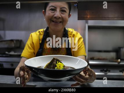 Oaxaca, Mexique. 23 juillet 2024. Un chef présente une cuisine traditionnelle avec de la sauce taupe dans un restaurant de la ville d'Oaxaca, capitale de l'État d'Oaxaca, au Mexique, le 23 juillet 2024. Oaxaca cuisine est une cuisine régionale du Mexique, centrée sur la ville d'Oaxaca. La nourriture traditionnelle telle que la sauce taupe, la sauterelle et la boisson Mezcal sont populaires parmi la population locale et les touristes. Crédit : Francisco Canedo/Xinhua/Alamy Live News Banque D'Images